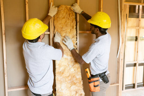 Best Insulation Removal  in Eureka, KS