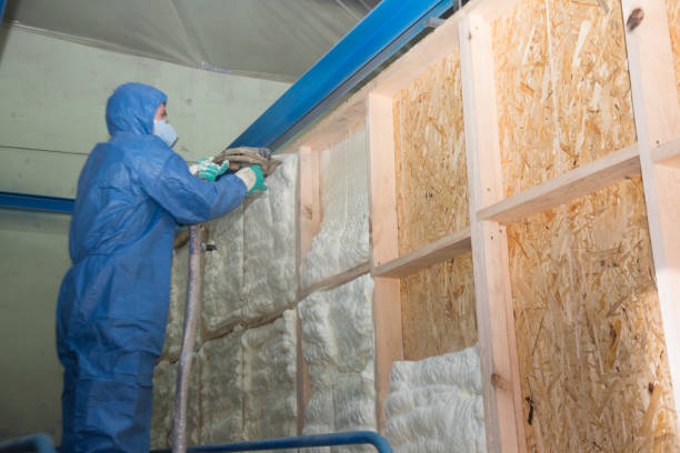 Best Professional Insulation Contractor  in Eureka, KS